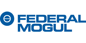 FEDERAL MOGUL